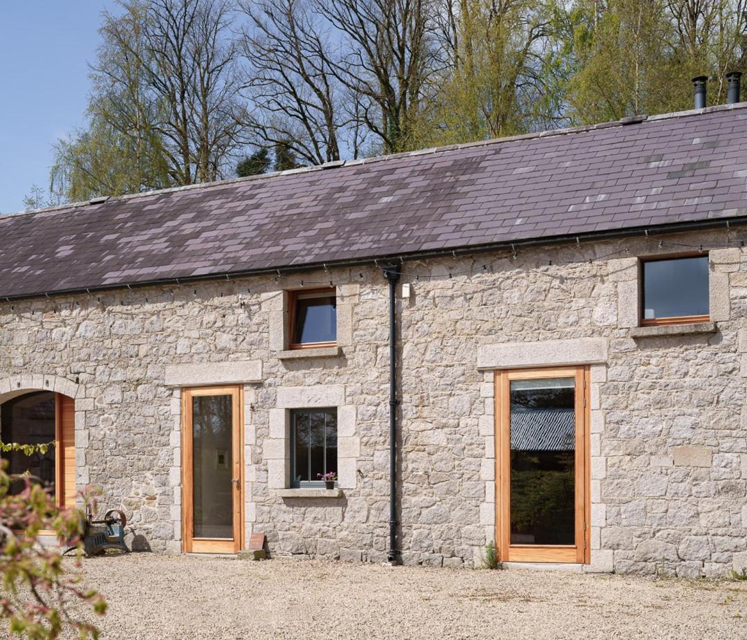 June Blake'S Garden Blessington Luaran gambar