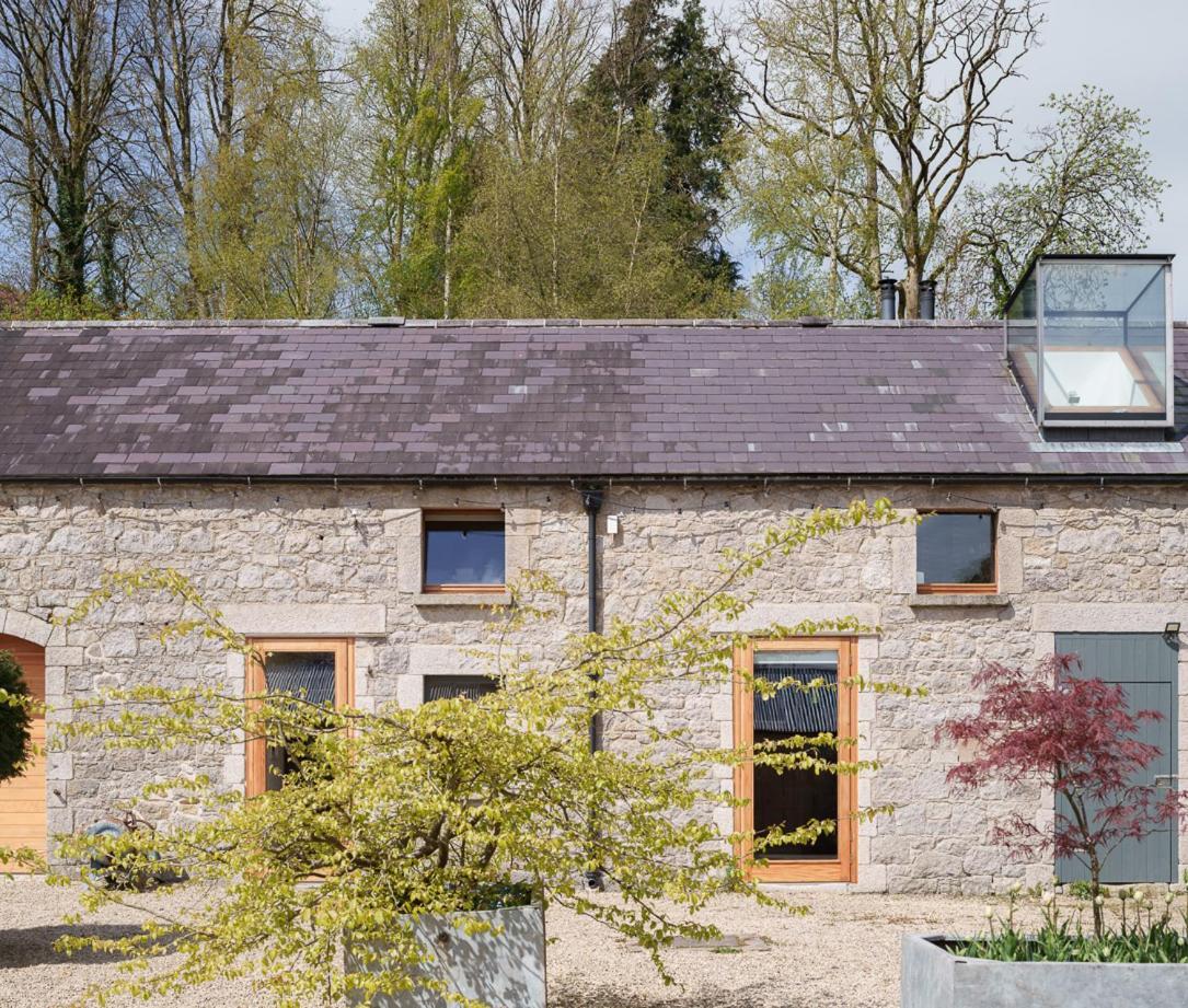 June Blake'S Garden Blessington Luaran gambar