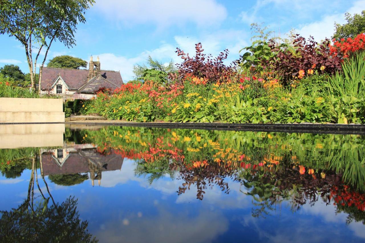 June Blake'S Garden Blessington Luaran gambar