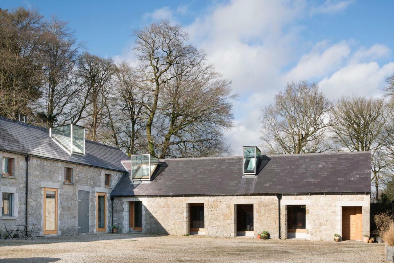 June Blake'S Garden Blessington Luaran gambar
