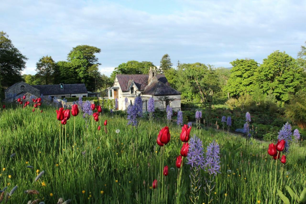 June Blake'S Garden Blessington Luaran gambar