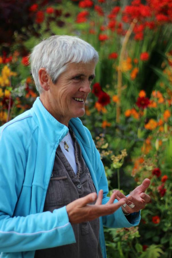 June Blake'S Garden Blessington Luaran gambar